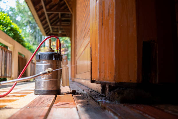Best Affordable Exterminators  in Weddington, NC