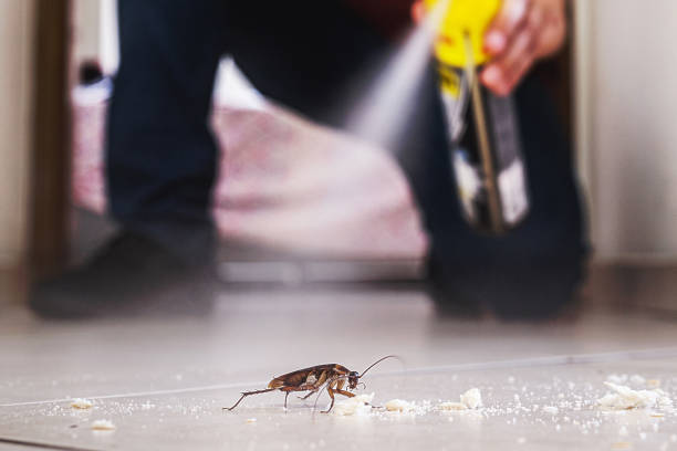 Flea Control Services in Weddington, NC